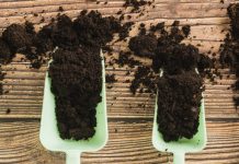 Keer terug na basiese beginsels en benut jou hulpbronne reg