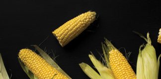 Produksiebegrotings: riglyne vir die somerreënvalgebied