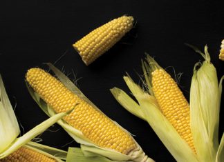 Produksiebegrotings: riglyne vir die somerreënvalgebied