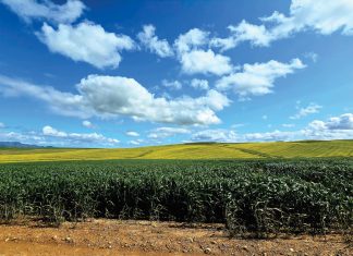 Geloof, dissipline en betrokkenheid IS PILARE VAN SUKSES