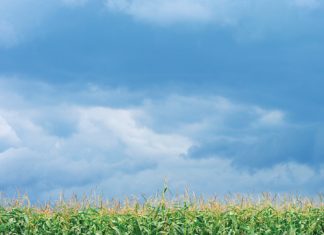 Farmer of the Year finalists 2025: a celebration of growth and dedication