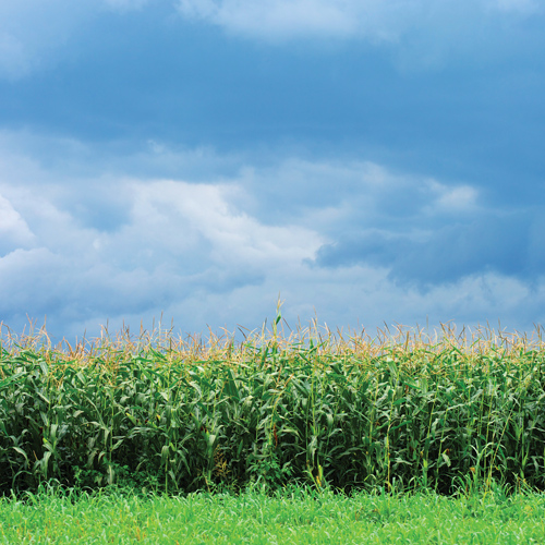 Farmer of the Year finalists 2025: a celebration of growth and dedication