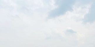 Sorghum-inligtingsdag: ’n dag van kennis en innovasie