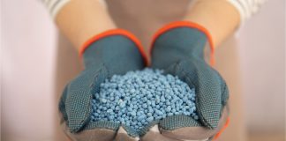 FERTILISER INDUSTRY IN SA: This is what it looks like