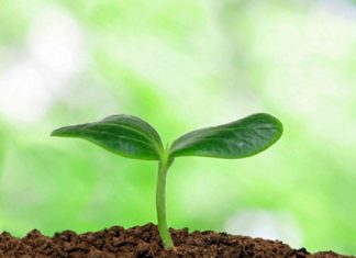 Hoe word landbougrond se waarde bepaal?