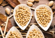 SOJABONE: die weegskaal van die graanmark