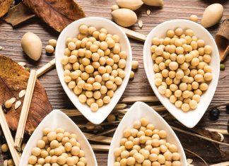 SOJABONE: die weegskaal van die graanmark