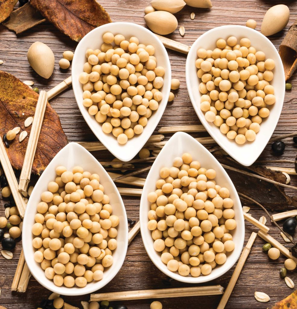 SOJABONE: die weegskaal van die graanmark