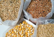 Lesse wat ruilvoet leer oor koopkrag van graangewasse