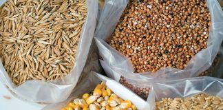 Lesse wat ruilvoet leer oor koopkrag van graangewasse