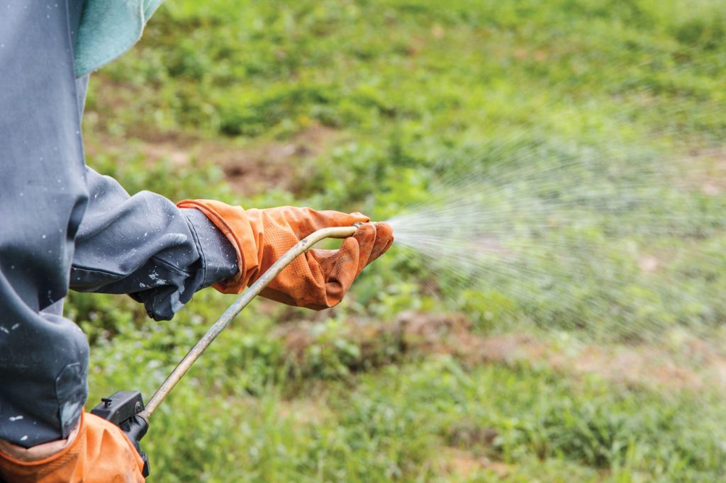 Graan SA help lede met PCO-SERTIFISERING