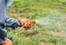 Graan SA help lede met PCO-SERTIFISERING