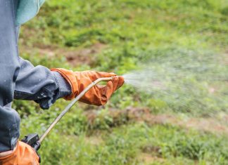 Graan SA help lede met PCO-SERTIFISERING