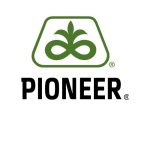 Voorspel jou kuilvoer se snyvenster só