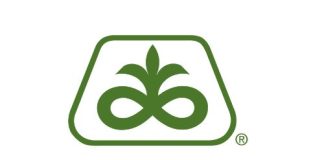 Voorspel jou kuilvoer se snyvenster só