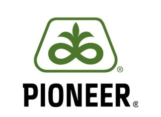 Voorspel jou kuilvoer se snyvenster só