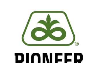 Voorspel jou kuilvoer se snyvenster só