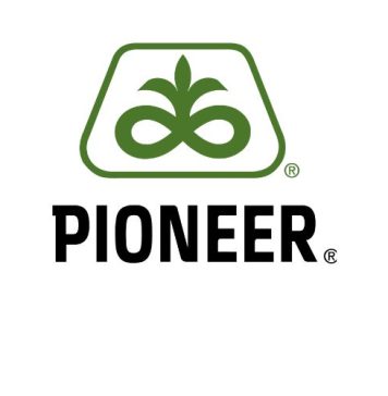 Voorspel jou kuilvoer se snyvenster só