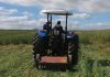 Cover crops: potential game changer for Western Cape weed management