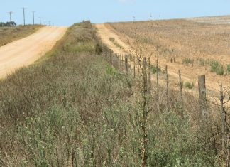 Onder- én oordosering veroorsaak onkruidweerstand