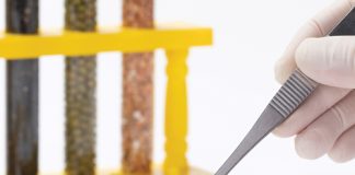 Driving the future of agriculture: why SA needs genome editing