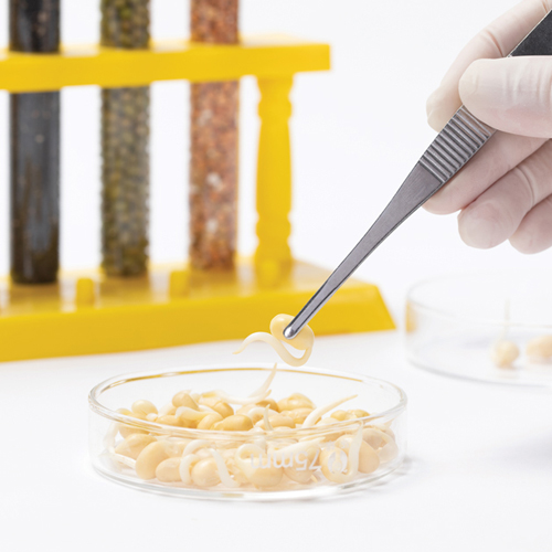 Driving the future of agriculture: why SA needs genome editing