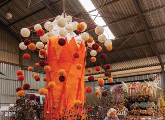 Die sesde NAMPO Kaap SLAAN ’N SES VIR LANDBOU