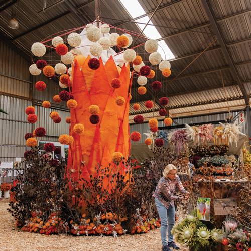 Die sesde NAMPO Kaap SLAAN ’N SES VIR LANDBOU