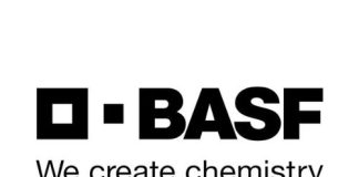 Staygreen in maize: the science behind the term