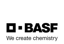 “Staygreen”: Die wetenskap agter mielies wat langer groen bly