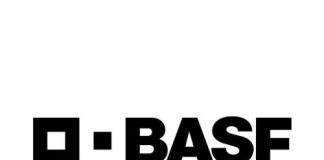 “Staygreen”: Die wetenskap agter mielies wat langer groen bly