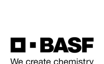 “Staygreen”: Die wetenskap agter mielies wat langer groen bly