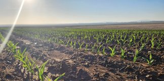 AANPASBAARHEID noodsaaklik as jy wil bly boer