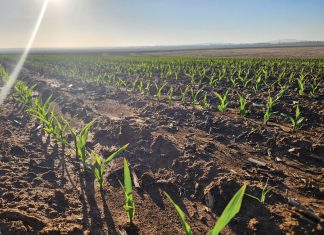 AANPASBAARHEID noodsaaklik as jy wil bly boer