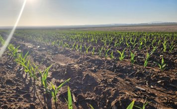AANPASBAARHEID noodsaaklik as jy wil bly boer