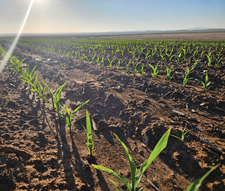 AANPASBAARHEID noodsaaklik as jy wil bly boer