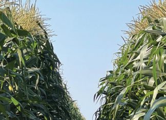 Daar moet ‘n rede wees vir elke aksie