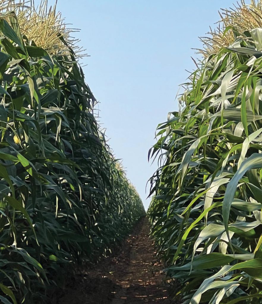 Daar moet 'n rede wees  vir elke aksie