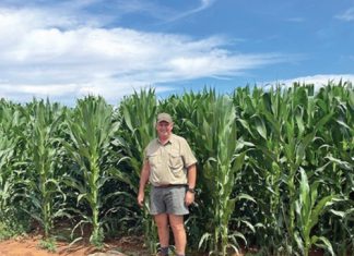 Gebruik ondervinding om jou toekoms op te bou