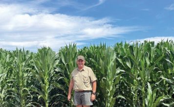 Gebruik ondervinding om jou toekoms op te bou