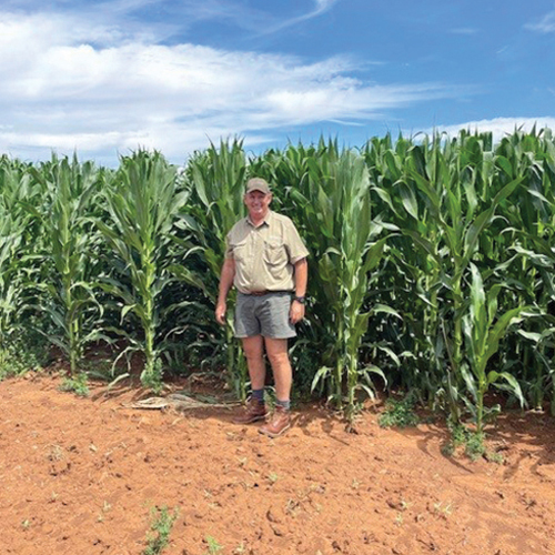 Gebruik ondervinding om jou toekoms op te bou