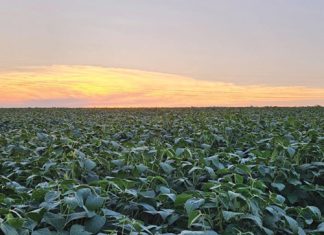 Streef altyd daarna om te verbeter