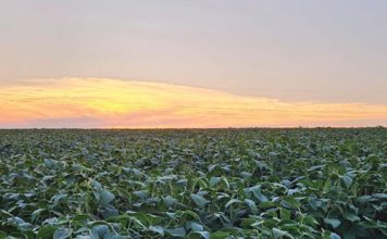 Streef altyd daarna om te verbeter
