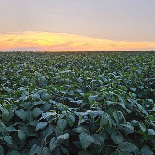 Streef altyd daarna om te verbeter