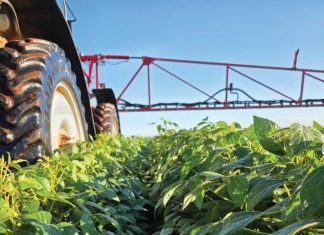 Grondgesondheid een van die kernaspekte vir sukses