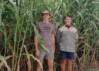 Sien optimaal om na jou omgewing