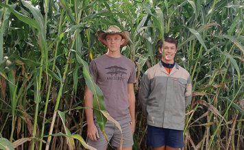 Sien optimaal om na jou omgewing