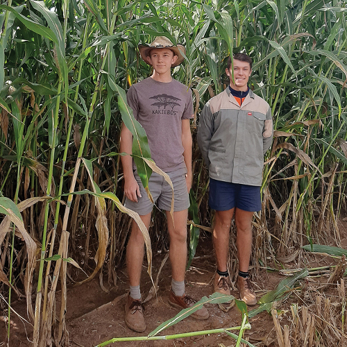 Sien optimaal om na jou omgewing