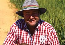 Klop uitdagings met slim planne, harde werk en toewyding