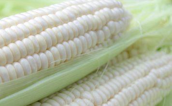 SOMERGRANE: moontlike scenario’s vir 2026